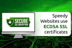 Speedy Websites use ECDSA SSL certificates | netart.com